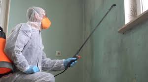 Best Commercial Mold Inspection  in Rogers, AR