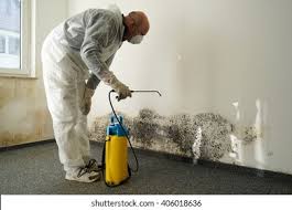 Mold Remediation for Rental Properties in Rogers, AR